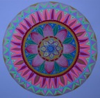 au coeur de la rose