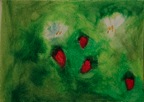 fruits