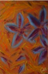 Passiflore
