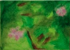 fleurs de pommiers