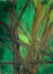 arbres